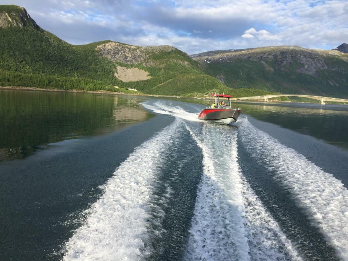 Polar Spot Camping Hotel Nygardsjoen Bagian luar foto